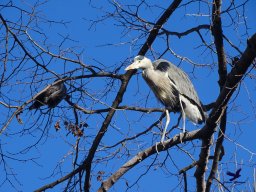 Tiergarten Schönbrunn am 27.01.2026